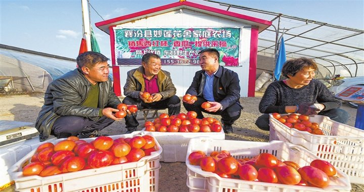 MK体育（国际）官方网站
