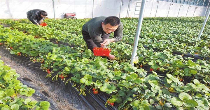 相关MK体育（国际）官方网站最新优惠
