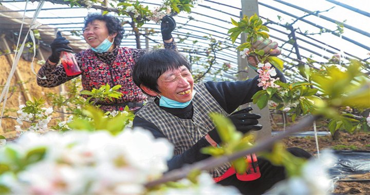 人勤春来...