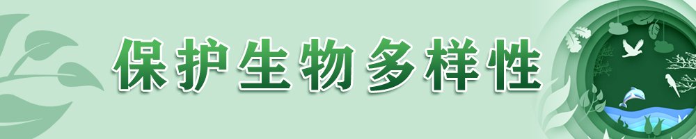 洪洞大槐树景区...