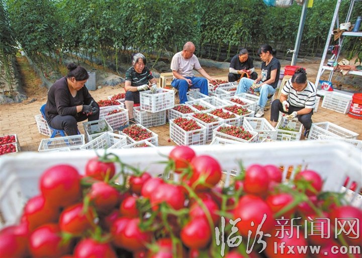 MK体育（国际）官方网站最新活动讯近