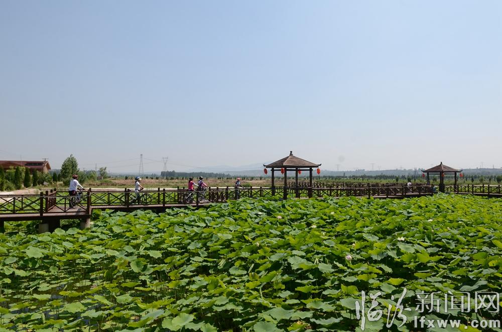 文化立县“三大战略”